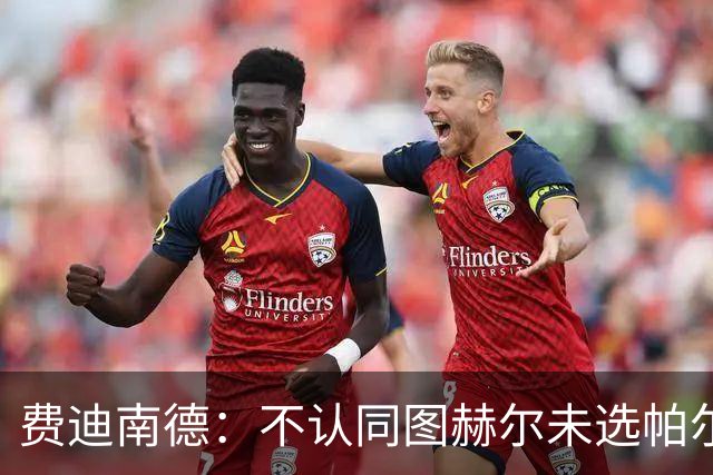 费迪南德：不认同图赫尔未选帕尔默的决定，后者在大赛证明过自己