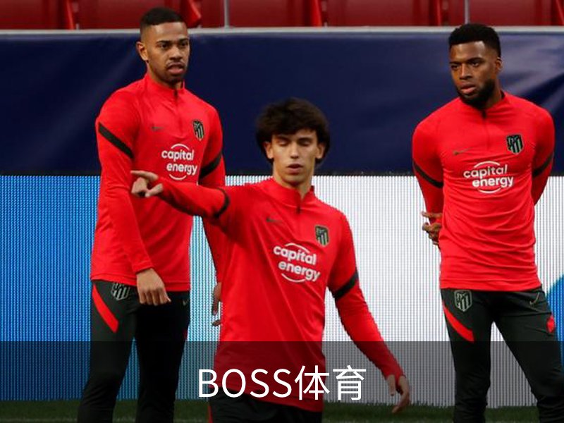 走进BOSS体育